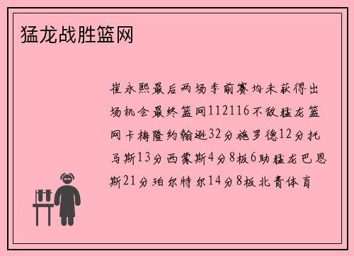 猛龙战胜篮网